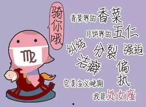 土豪 搞笑自我介绍,笑谈人生，幽默开场