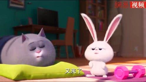 萌宠大机密表情包gif,GIF表情包里的欢乐瞬间