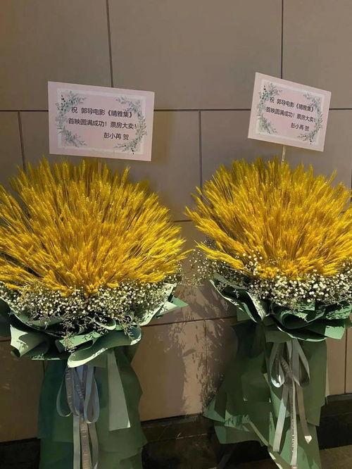 送演员的花,揭秘送演员花背后的深情寓意